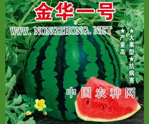 金华一号西瓜